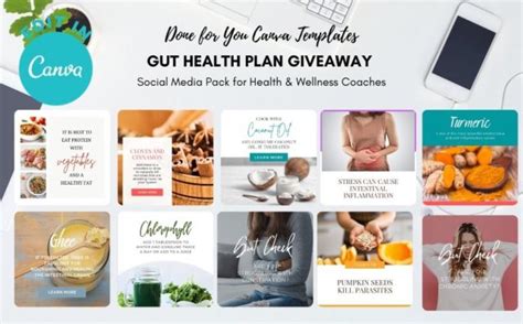 inexpensive business coach for gut health coach